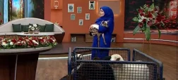 گوسفند در برنامه تلویزیونی