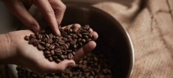عوامل موثر بر قیمت قهوه