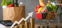 جدیدترین آمار تورم استانی