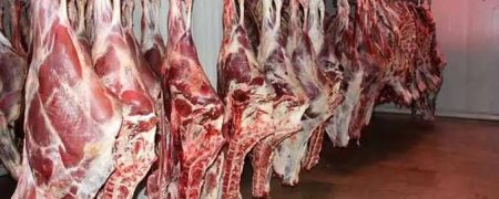 حمله خونین به کامیون‌های مشکوک به حمل گوشت گاو در هند + ویدیو