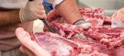 فروش گوشت اسب و الاغ
