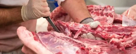ماجرای صدور مجوز برای فروش گوشت اسب و الاغ؛ سازمان دامپزشکی تکذیب کرد