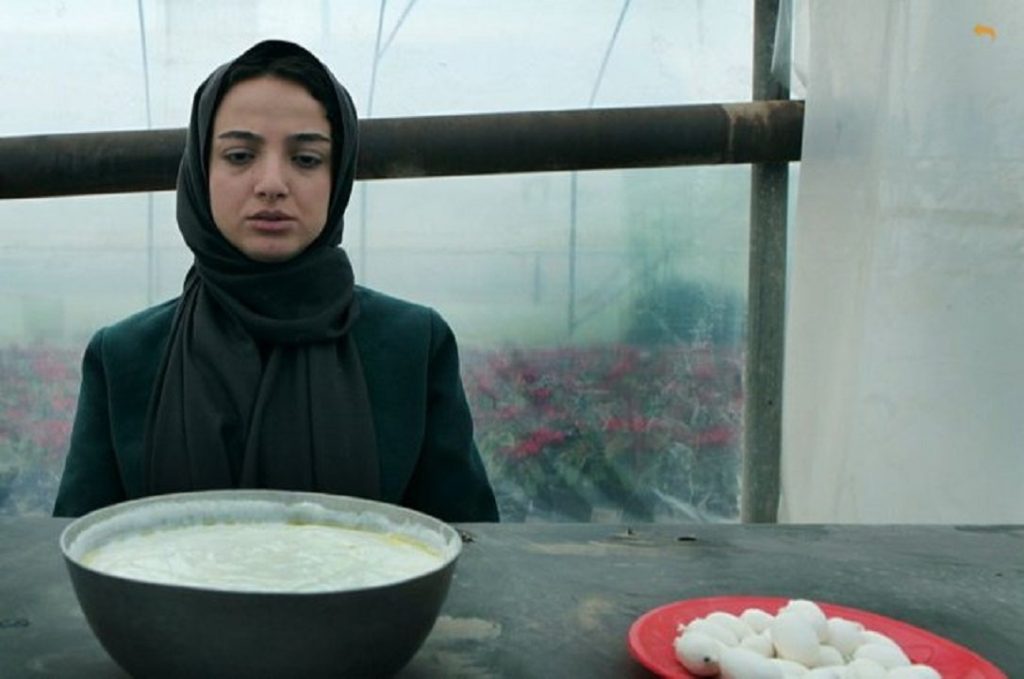 ندا جبرائیلی در کارت پرواز