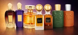 ۱۰ عطر مردانه مناسب پاییز ۲۰۲۶ با رایحه‌های گرم و ماندگار + نکات مهم برای استفاده