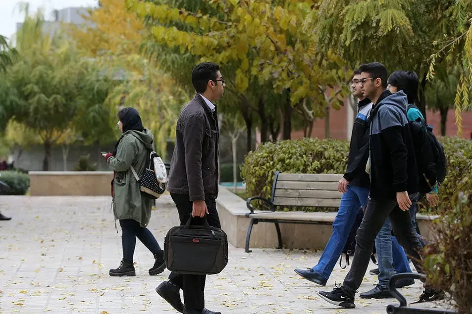 دانشگاه