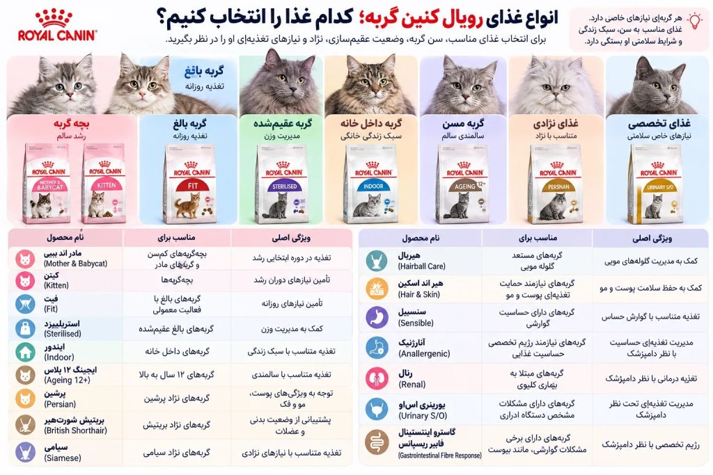انواع غذای رویال کنین گربه؛ کدام غذا را انتخاب کنیم؟