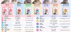 انواع غذای رویال کنین گربه؛ کدام غذا را انتخاب کنیم؟