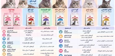 انواع غذای رویال کنین گربه؛ کدام غذا را انتخاب کنیم؟