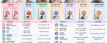 انواع غذای رویال کنین گربه؛ کدام غذا را انتخاب کنیم؟